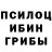 Псилоцибиновые грибы Cubensis aleksandr koshko