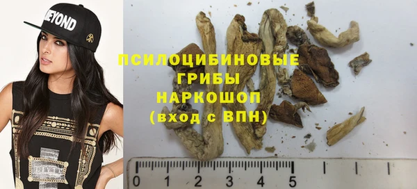 мет Карпинск