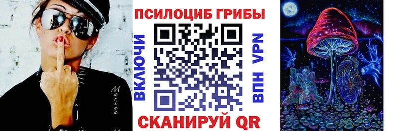 Псилоцибиновые грибы мухоморы  даркнет клад  Кимовск 
